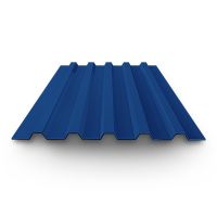 Профнастил окрашенный С20 0,45х1100(1150)х2000 RAL 5005 синий Уценка